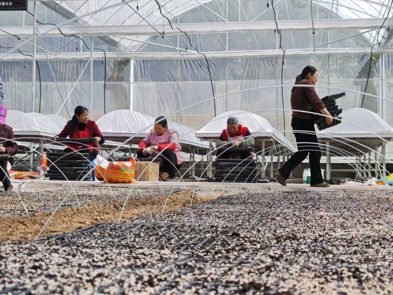 1775544113478648.jpg 图片3.jpg