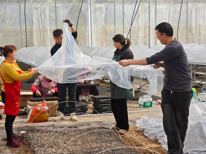 1775544120461494.jpg 图片4.jpg