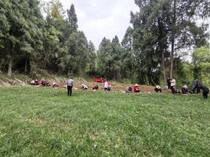 1775631555159800.jpg 图片1.jpg