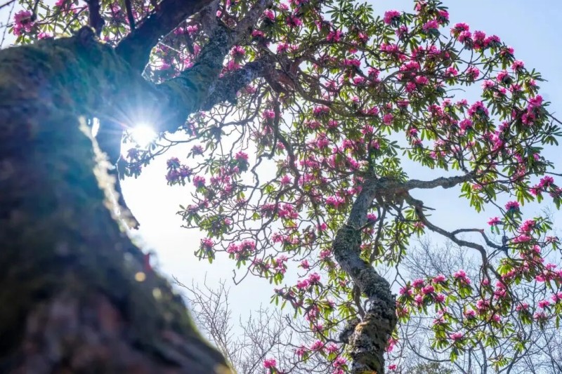 1775803304637047.jpg 图片6.jpg