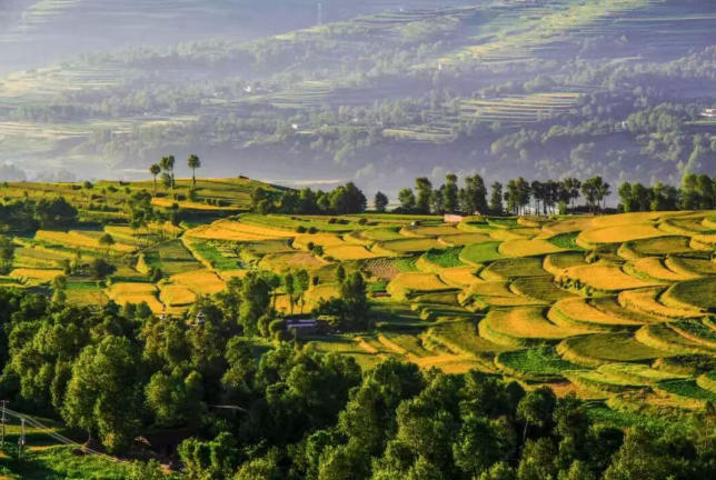 1776059196854266.jpg ScreenShot_2026-04-13_134343_225.jpg