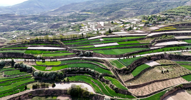 ScreenShot_2026-05-13_131852_475.jpg