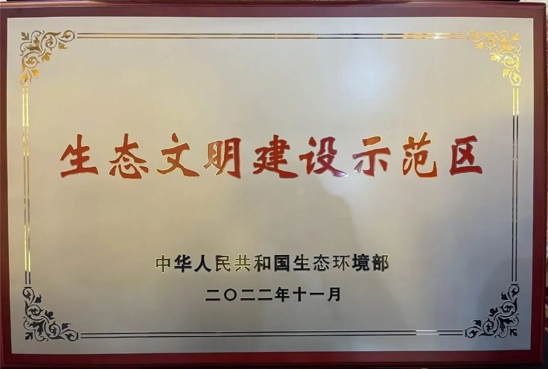 1668997631653070.jpg