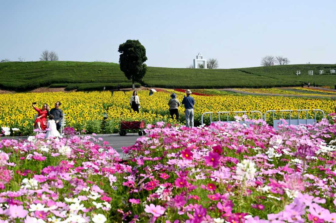 1740737097813842.png image.png