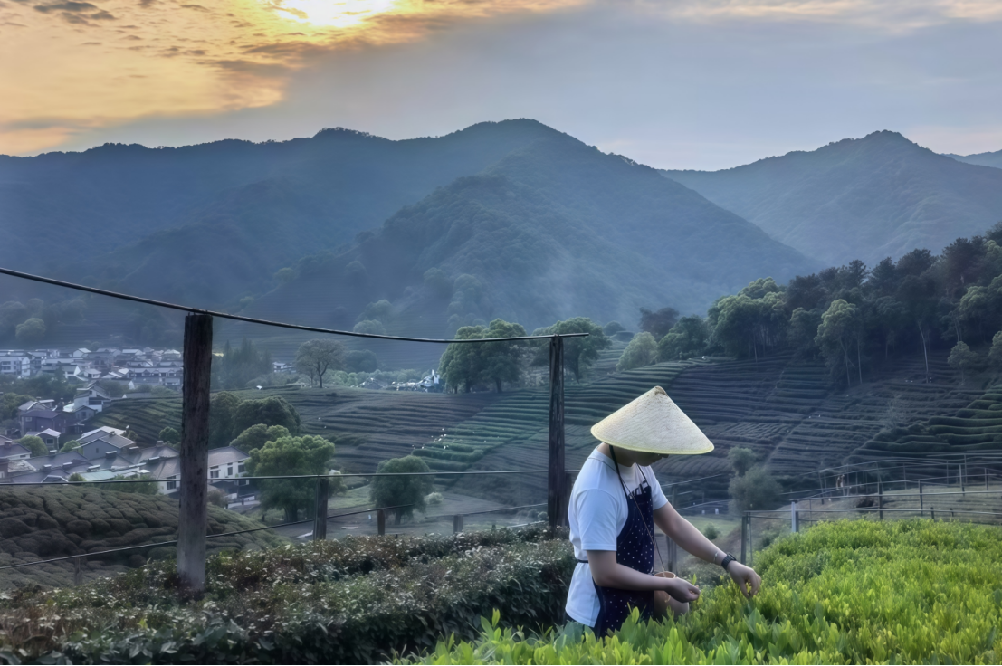 1744875218778652.png image.png