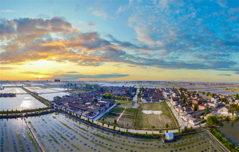 1667886185280905.jpg 图片 1.jpg