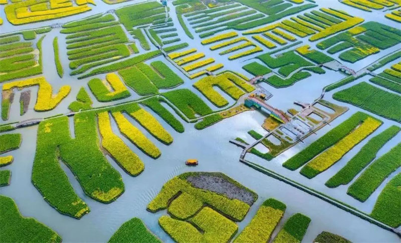 1667886241528669.jpg 图片 5.jpg