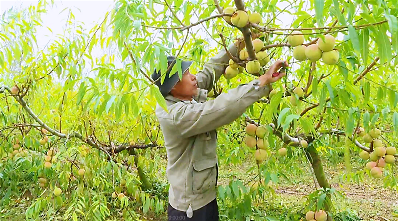 初冬时节145.jpg