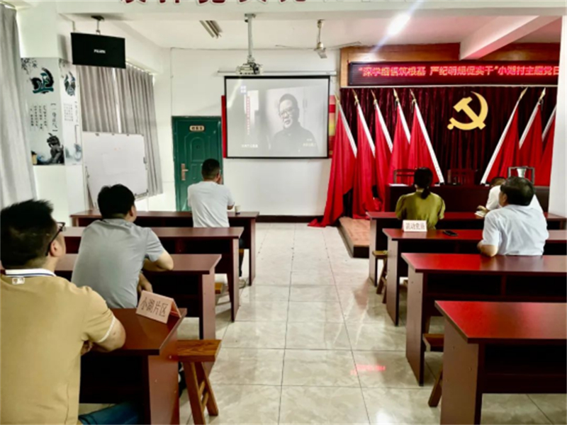 江阴小湖村：深学细悟筑根基 严纪明规促实干253.jpg
