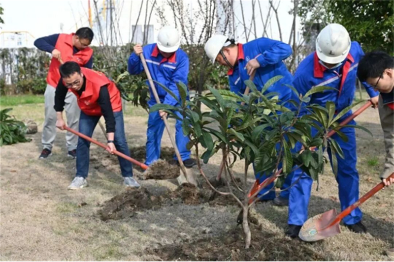 江苏苏州石油通桥油库获评全国绿化模范单位810.jpg