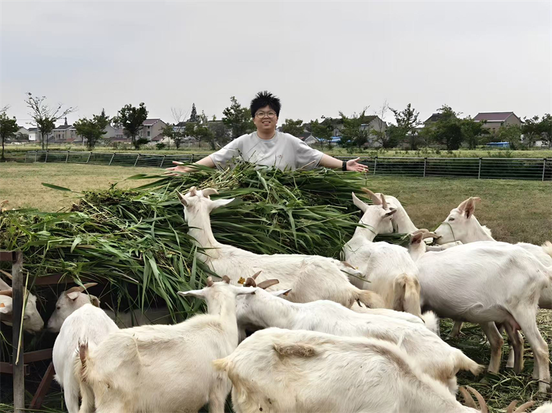 1774060655953818.jpg 图片2.jpg