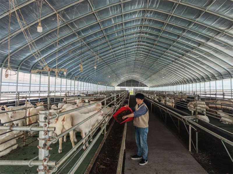 1774060662537120.jpg 图片1.jpg