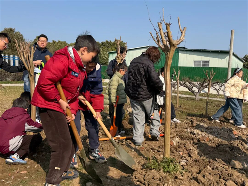 1774839202683530.jpg 图片3.jpg