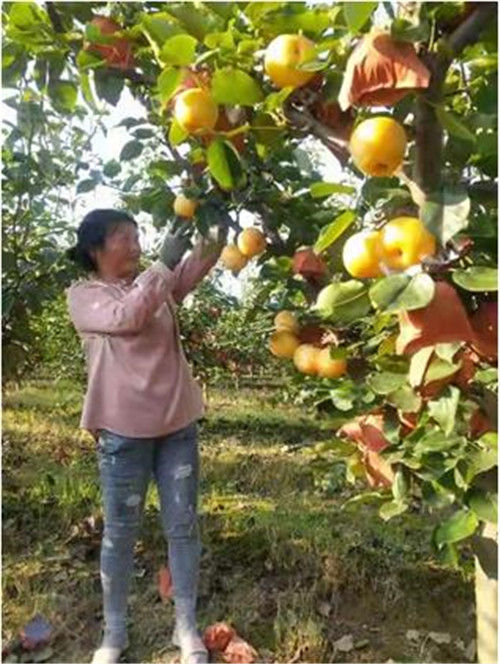微信截图_20210908095115.jpg