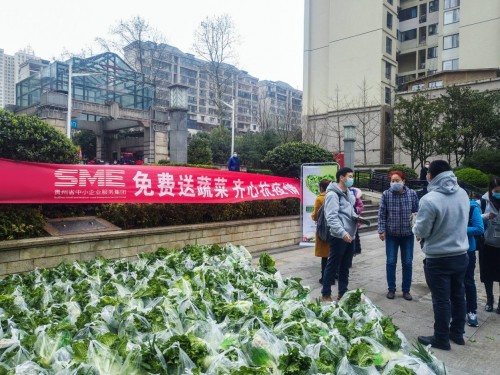 集团在疫情期间开展的免费送蔬菜活动