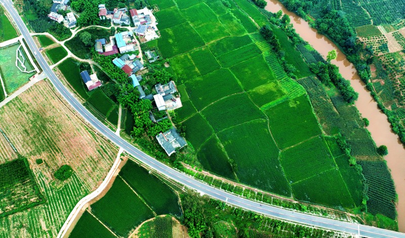 乡村道路穿越绿意盎然的田野.jpg