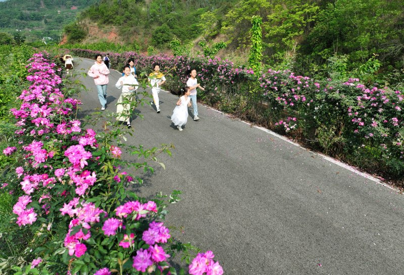 景色优美的乡村道路.jpg