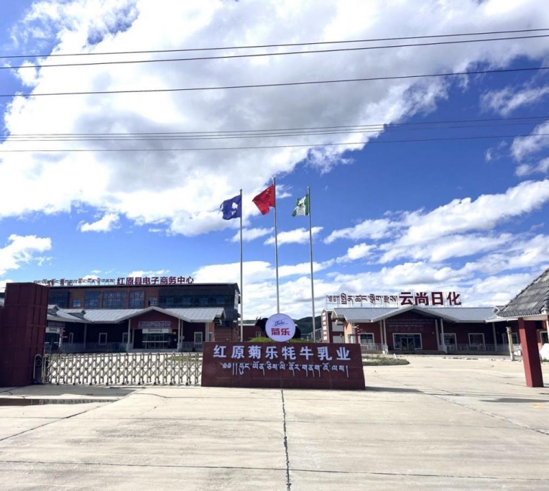 红原菊乐牦牛乳业1.jpg