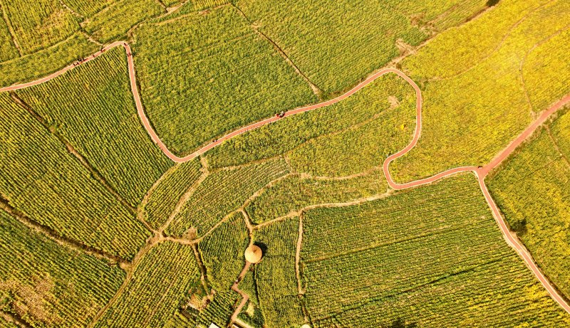 1741657459503506.jpg 1.jpg