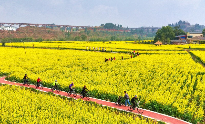 1741657471167624.jpg 3.jpg