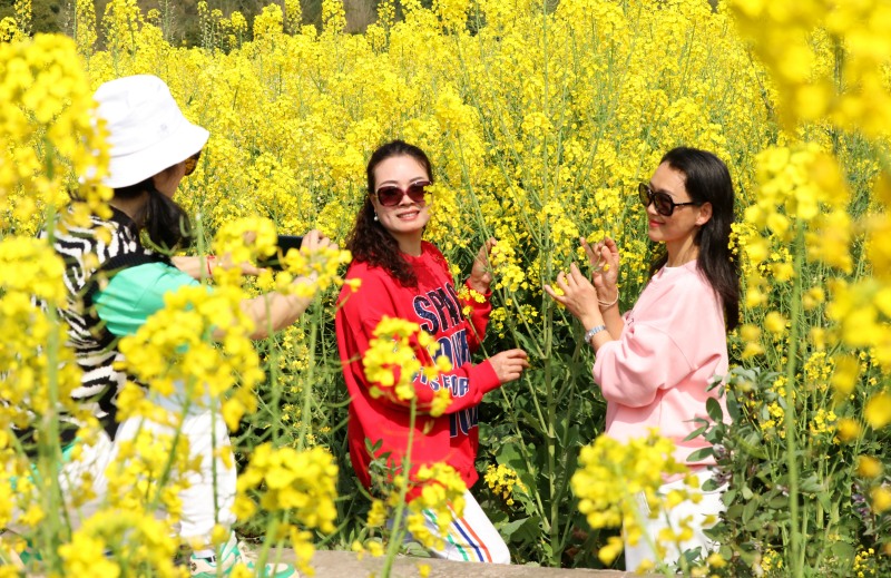 1741657475742259.jpg 4.jpg