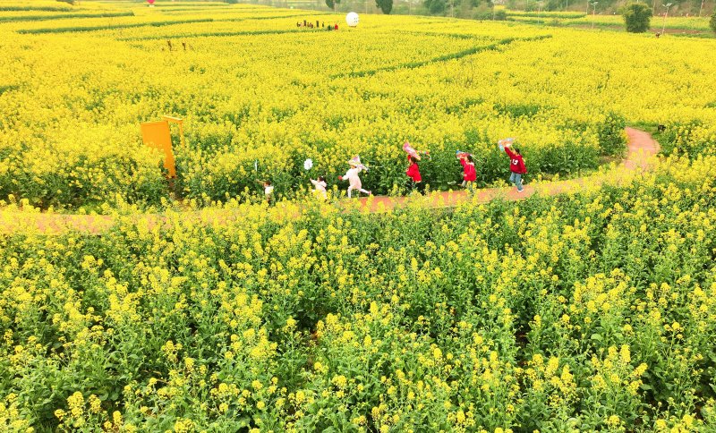 1741657479400490.jpg 5.jpg