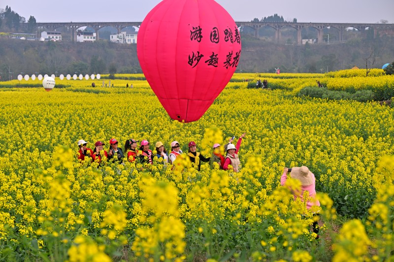 1741657484414900.jpg 6.jpg