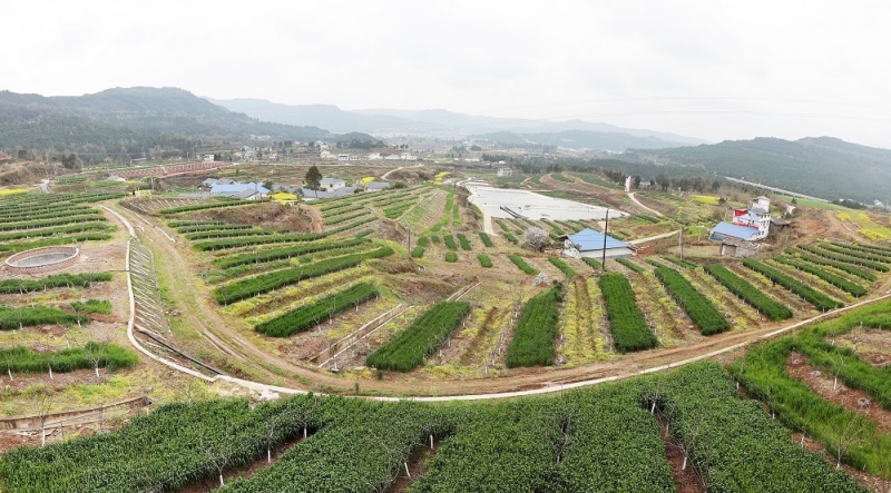 1742803618256663.jpg 2.jpg