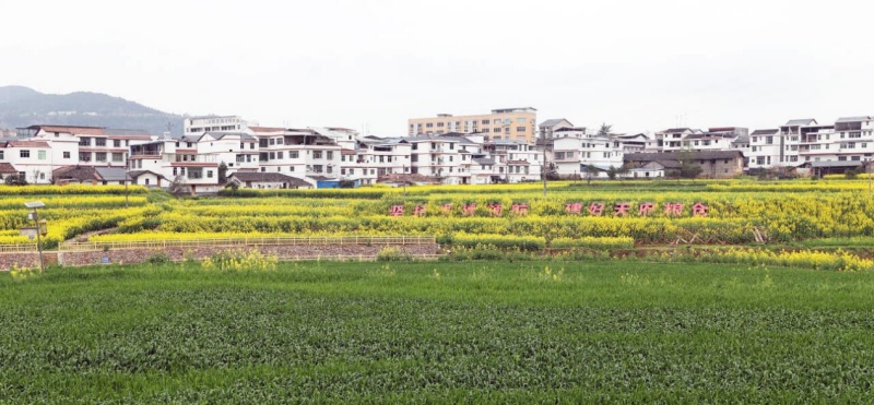 1742803660604093.jpg 3.jpg