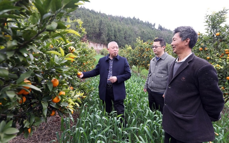 1742803666122197.jpg 4.jpg