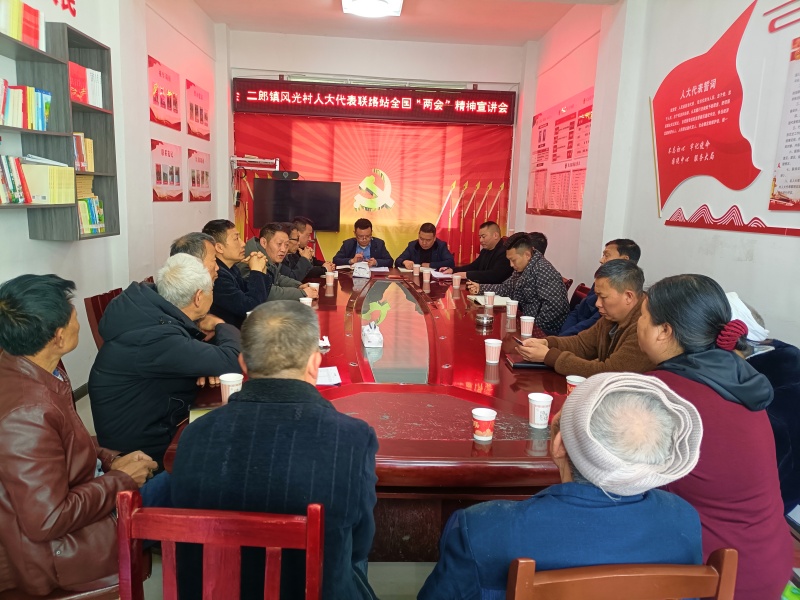 风光村代人民代表联络站开展全国“两会”精神宣讲.jpg