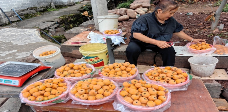 1747904688654152.jpg 1747904688654152.jpg