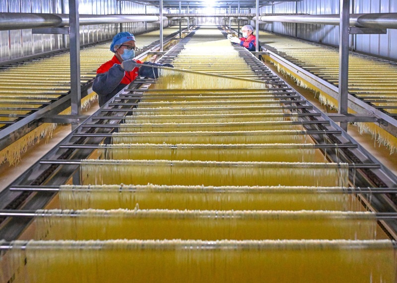 在位于仁寿县文宫镇的蜀仁食品有限公司粉条生产车间，工人们正在粉条生产线上忙绿.jpg