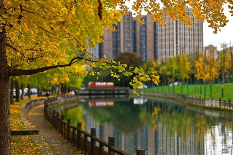 1762918434823805.jpg 图片1.jpg