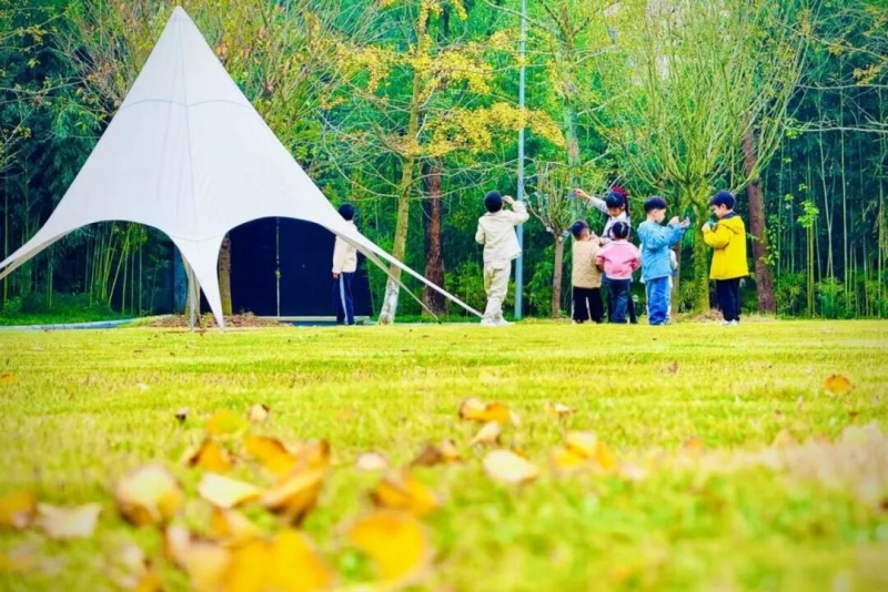 1762918443748667.jpg 图片3.jpg