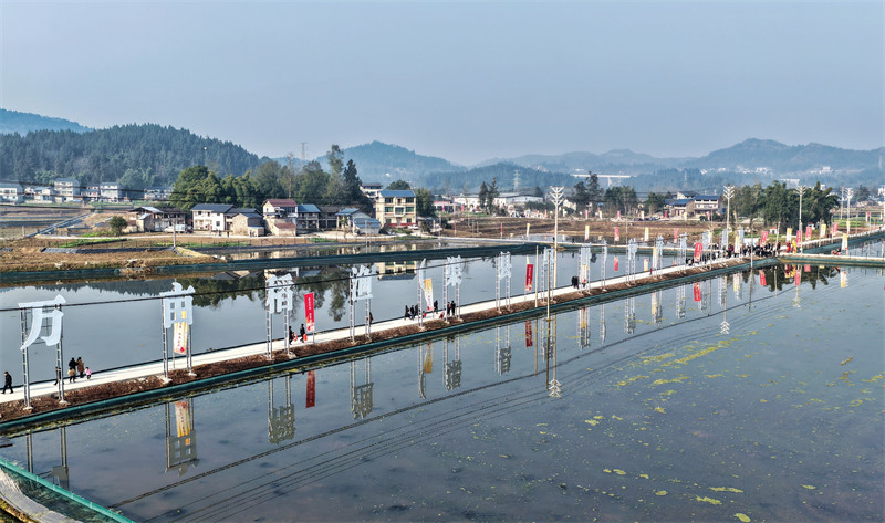 “渠县早虾”种养示范基地   邹子洋  摄.JPG