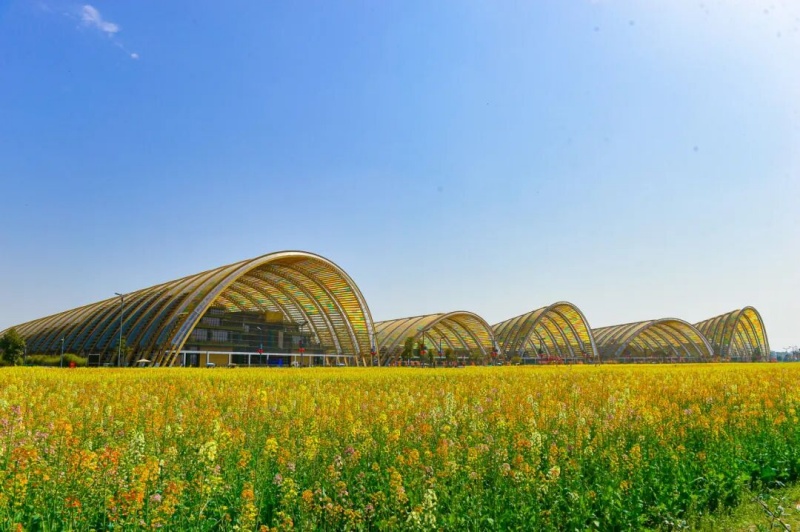 1772160510857607.jpg 1.jpg