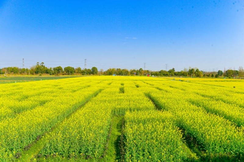 1772160520484936.jpg 3.jpg