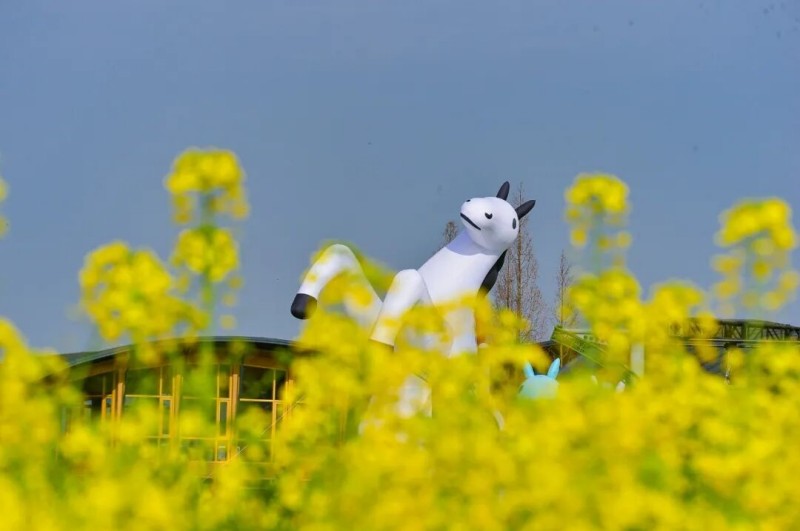 1772160528927001.jpg 4.jpg