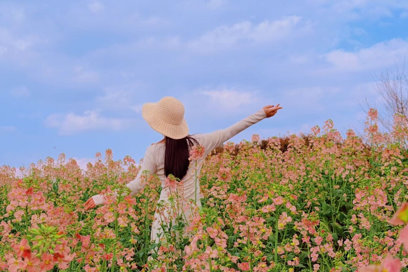 1773716898904837.jpg 微信图片_20260311190057_11_1982.jpg