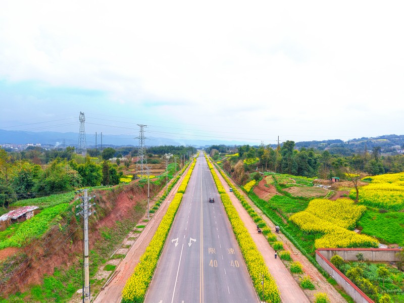 1773716906899559.jpg 微信图片_20260311192619_14_1982.jpg