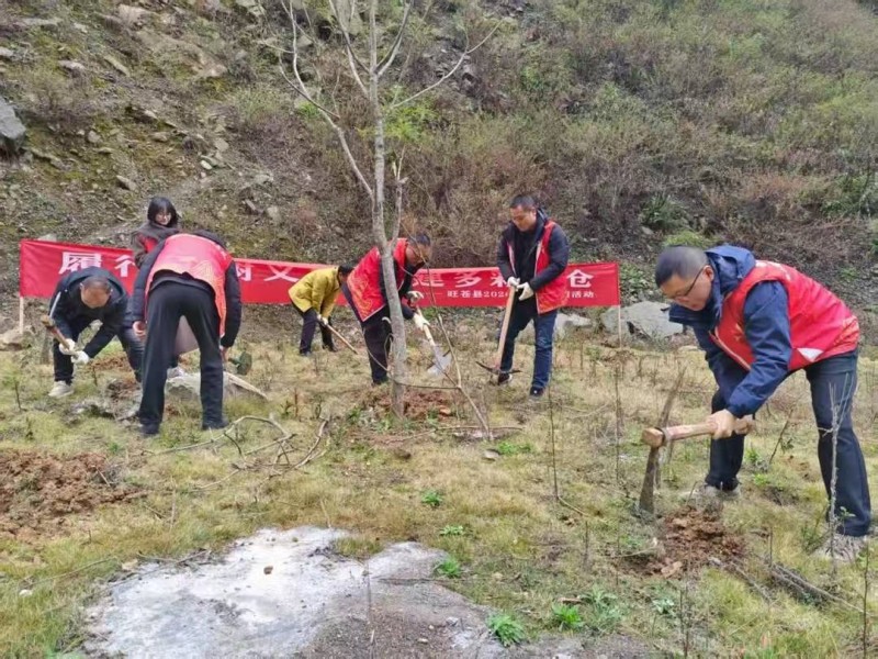 1773799164217721.jpg 图片1.jpg