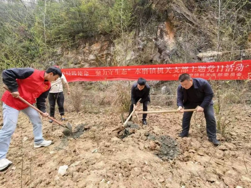 1773799171467906.jpg 图片2.jpg