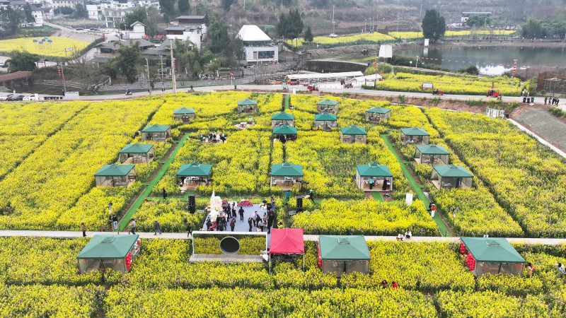 1773805546826085.jpg 1.jpg