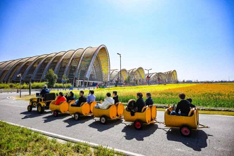 1774061911398434.jpg 图片4.jpg