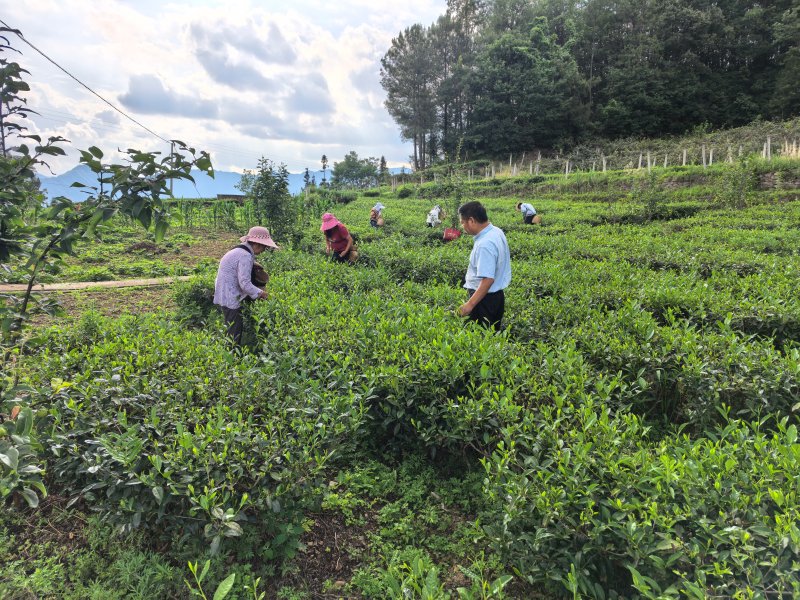 1775700536511110.jpg 图片1.jpg