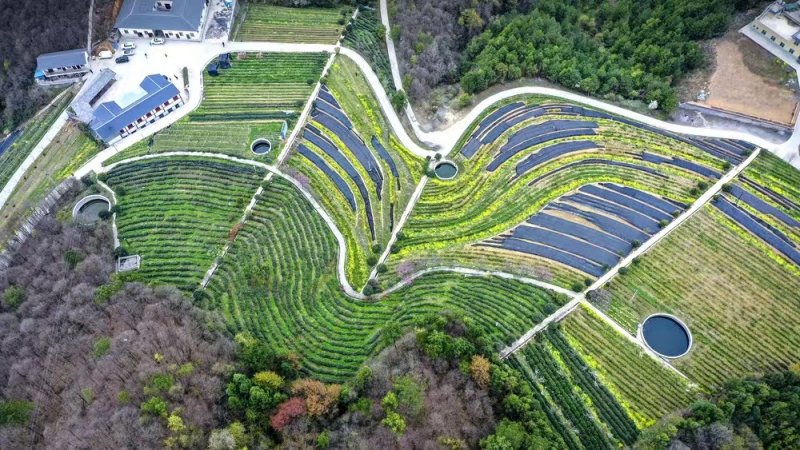 1775700539869147.jpg 图片2.jpg