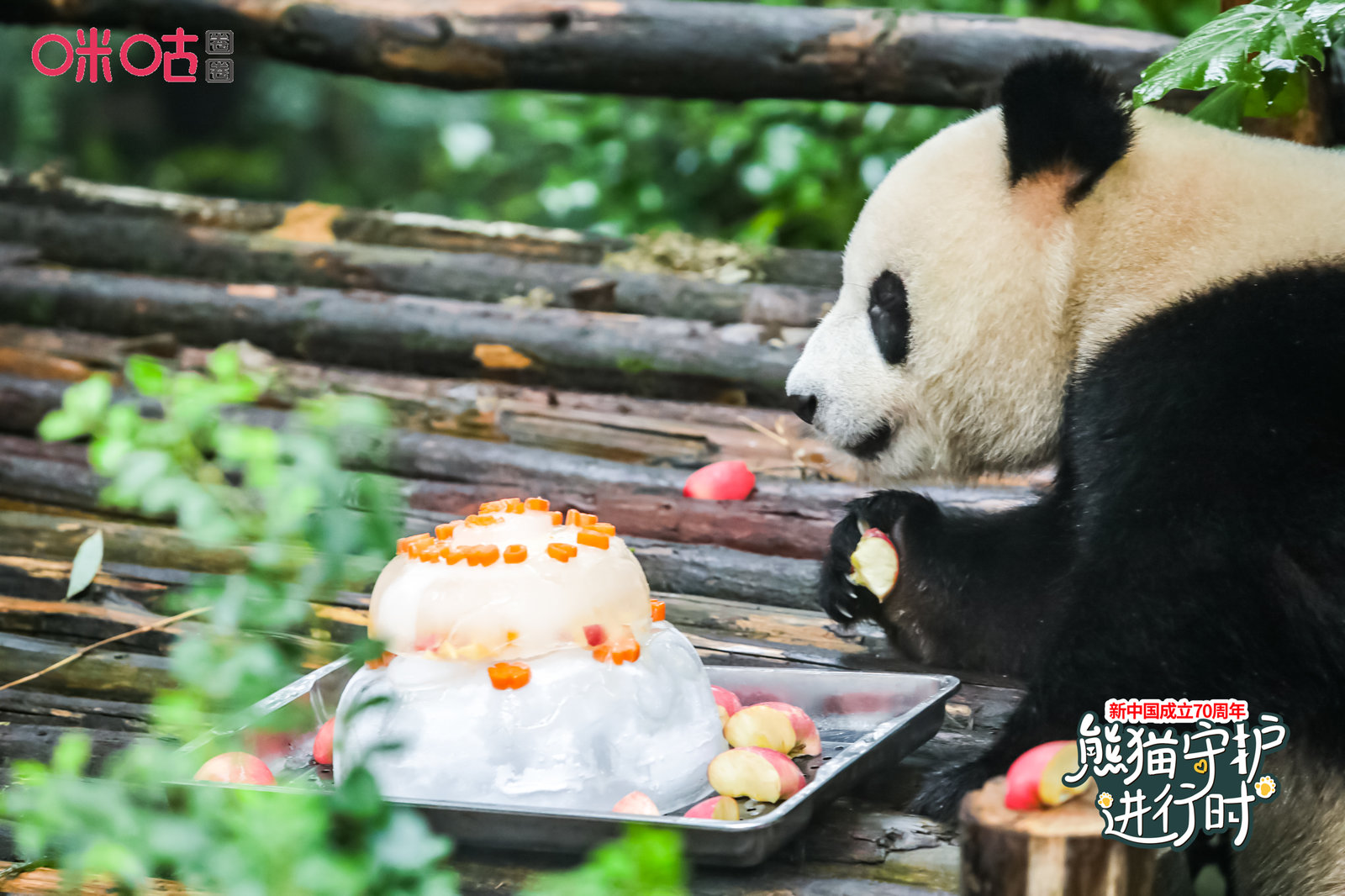 1566356356251494.jpg QQ图片20190821110349.jpg
