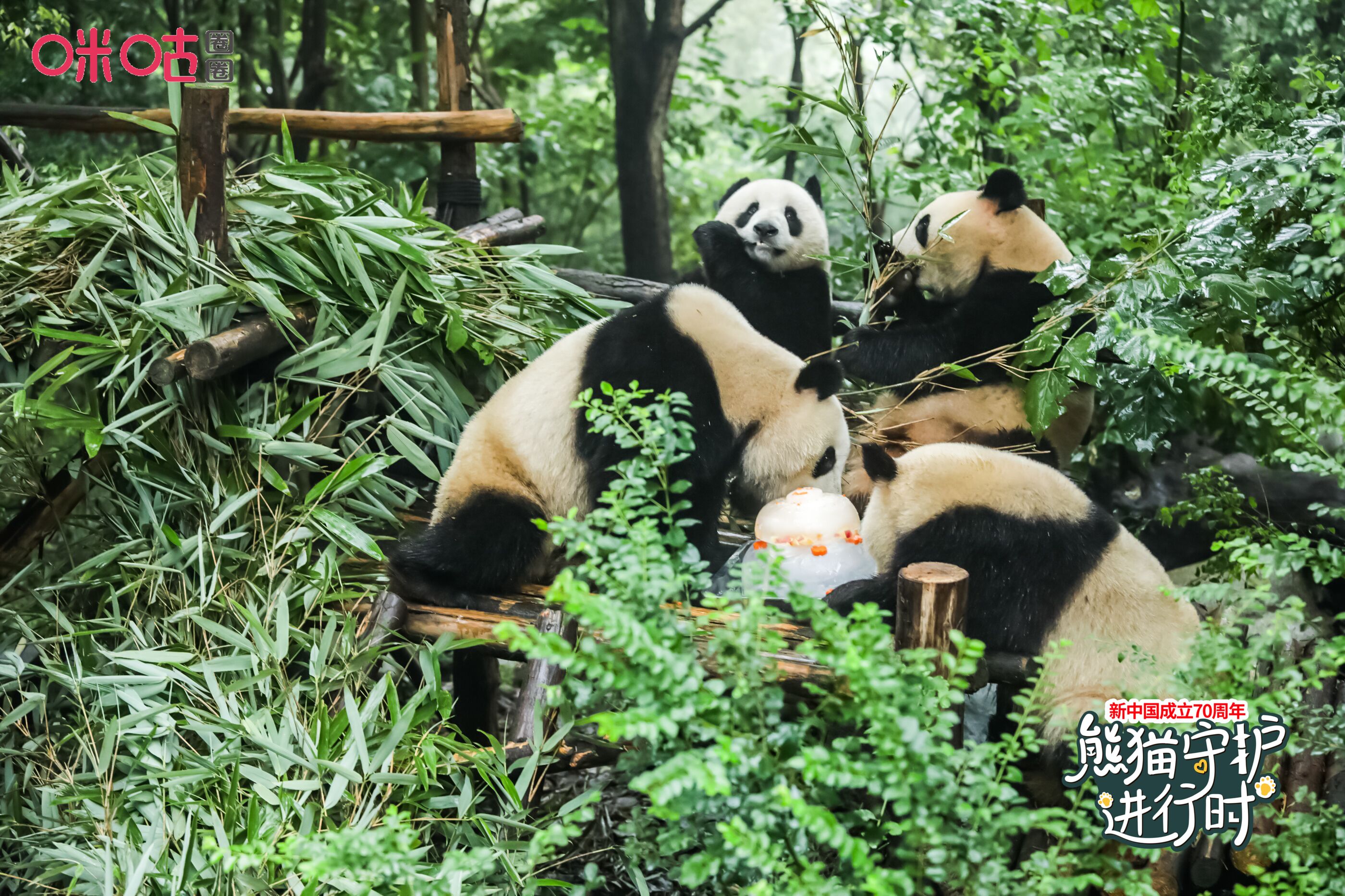 1566356364183362.jpg QQ图片20190821110400.jpg