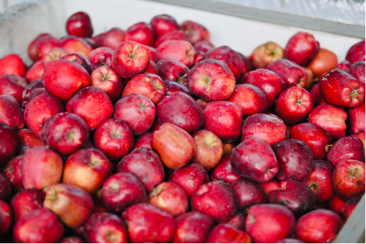 1731992413362956.png 2.png